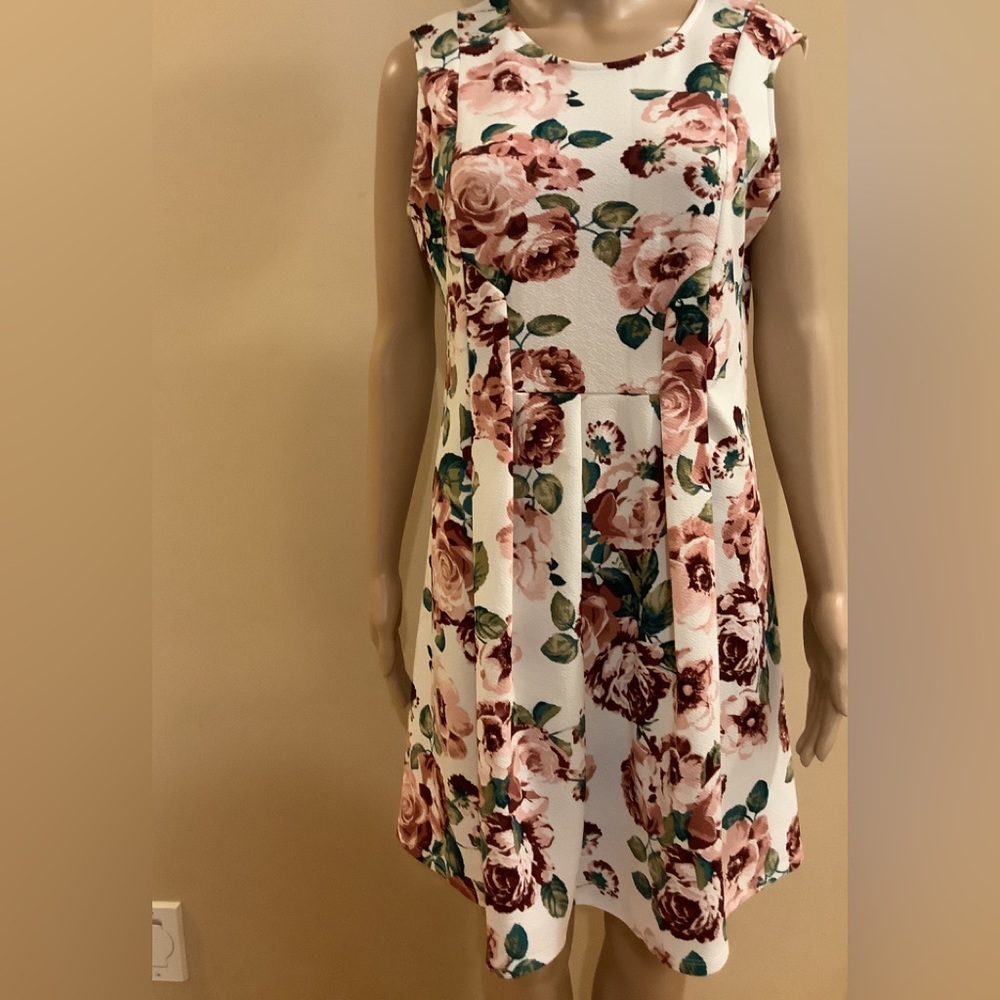 🍉Impress XL junior fit and flare mini dress, white with pink floral print…